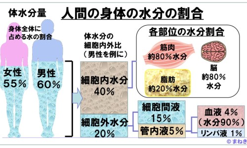 近十年白术的鲜货的价格-2025年白术价格表,中国2015年今年鲜白术的价格网站